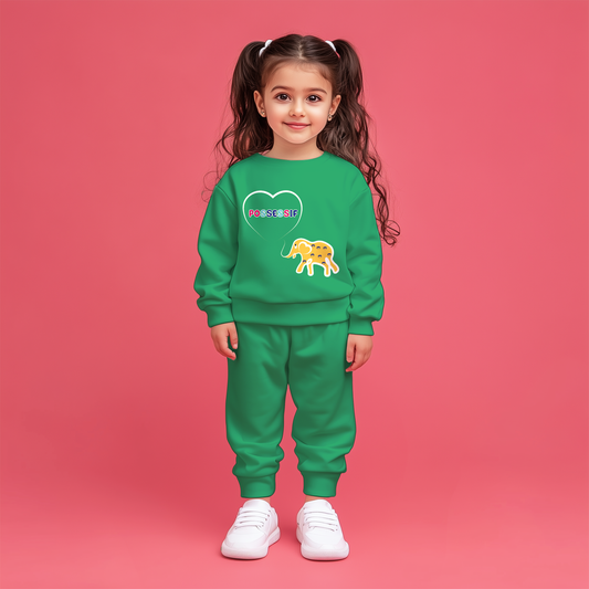 Kids Sweatshirts Co-ords Set 30